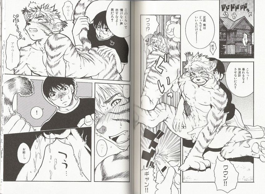 beast_heaven butt catboy gay human male manga muscles penis scan