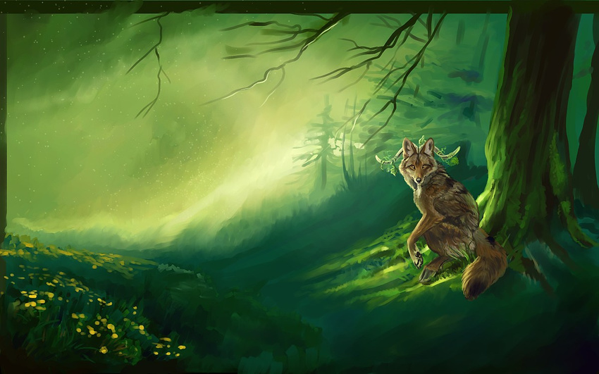 canine coyote forest green horns solo tree vantid wallpaper wolf