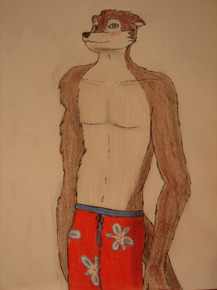 blush color dribble hi_res male mammal mustelid otter solo swimming_trunks swimsuit