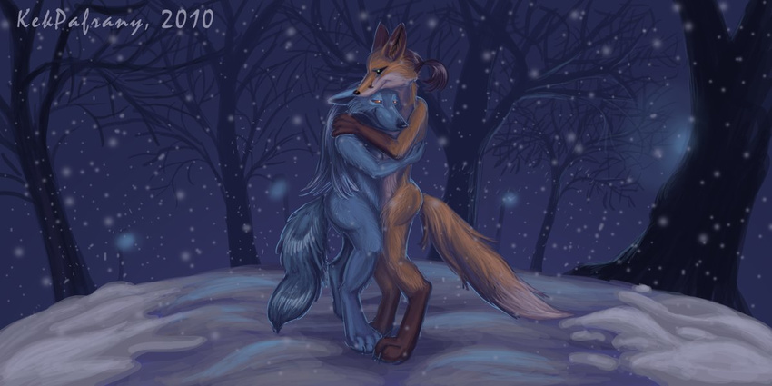 ambiguous_gender anthro canine cold colored digital duo fox hug kekpafrany mammal night snow snowfall snowing winter wolf