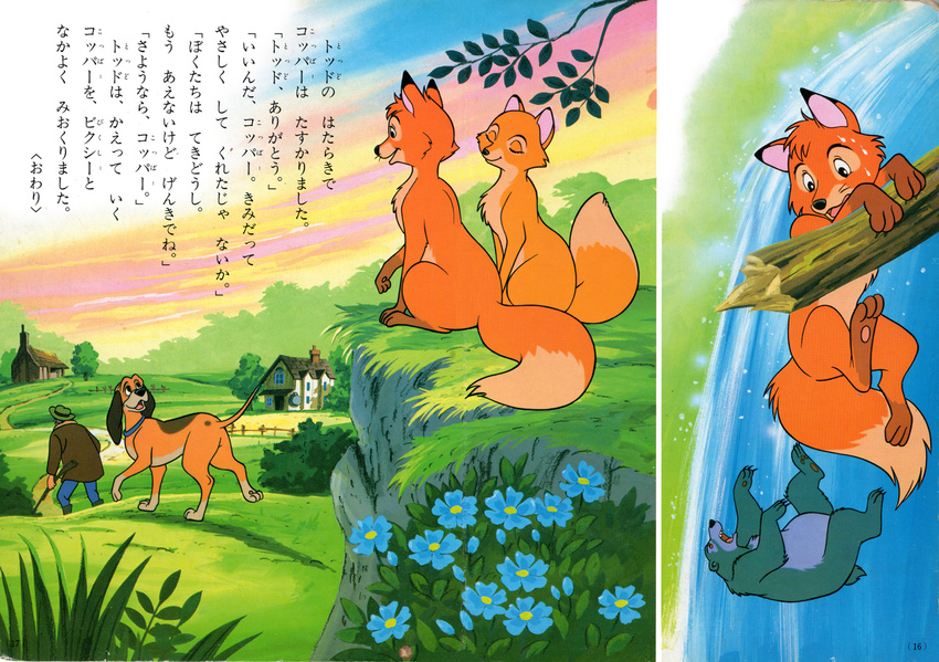 children's_book children's_book copper disney feral fox_and_the_hound japanese_text mammal text todd translation_request unknown_artist vixey