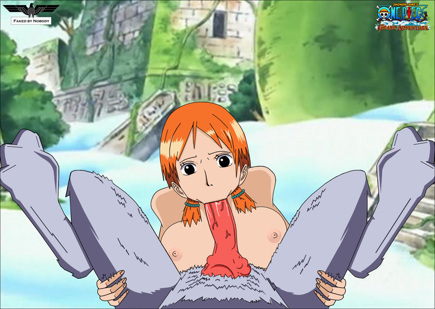 cloud_wolf nami one_piece tagme