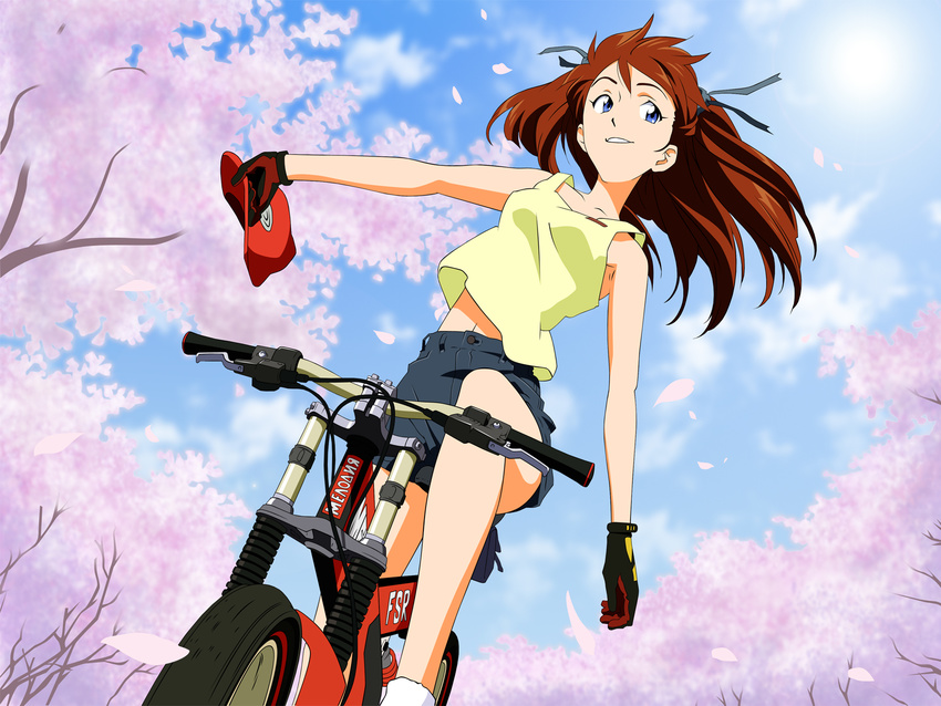 bike cherry_blossoms neon_genesis_evangelion soryu_asuka_langley tagme