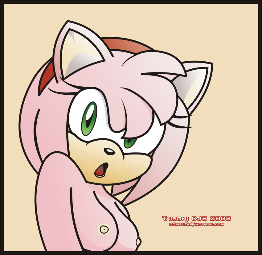amy_rose breasts bust female solo sonic_(series) taison