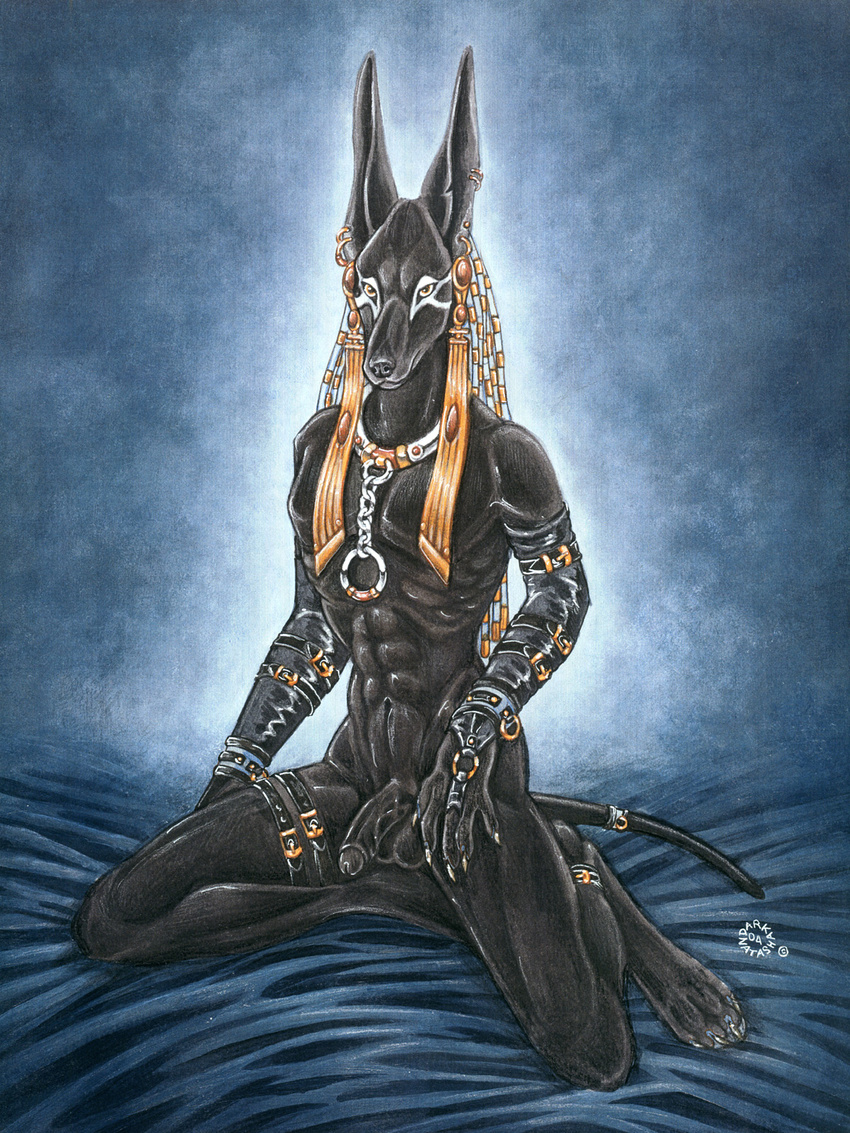 anubian_jackal anubis canine dark_natasha deity egyptian hi_res humanoid_penis jackal male solo