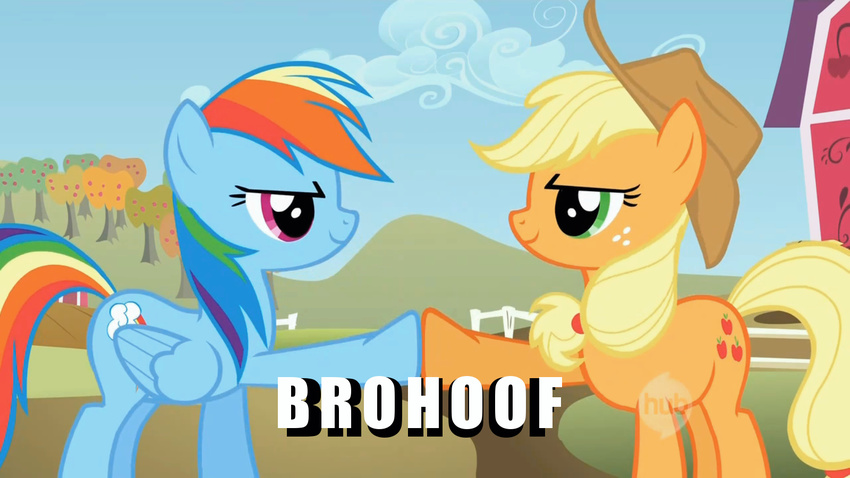 applejack_(mlp) brohoof meme my_little_pony rainbow_dash_(mlp)