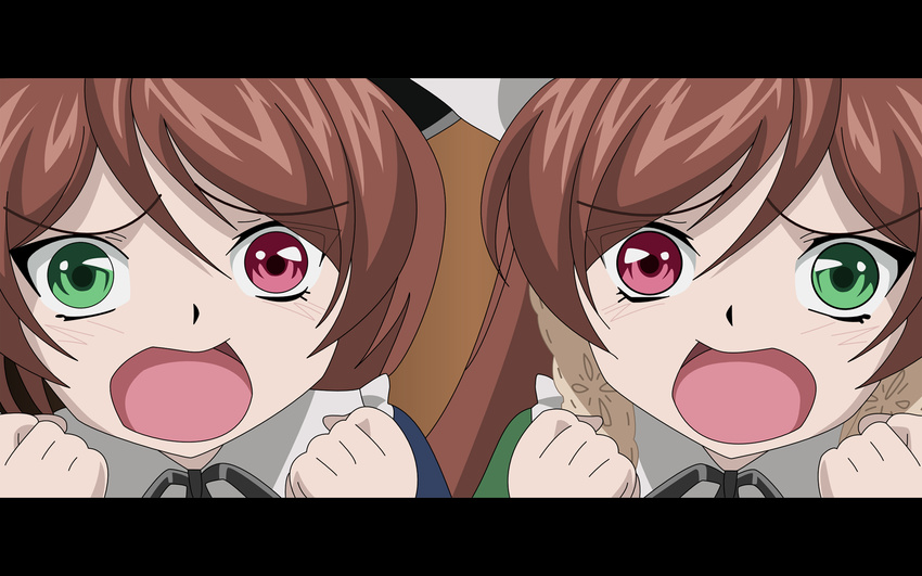 bicolored_eyes brown_hair rozen_maiden souseiseki suiseiseki