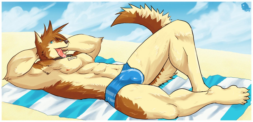 beach blue_eyes bo-gilliam bulge canine claws collar dog fangs grin looking_at_viewer male muscles on_back presenting saliva seaside solo speedo spread_legs spreading swimsuit tail tongue underwear