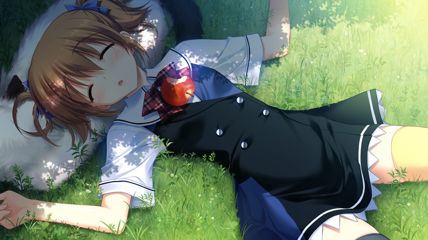 animal apple brown_hair dog fumio game_cg grass grisaia_no_kajitsu irisu_makina sleeping