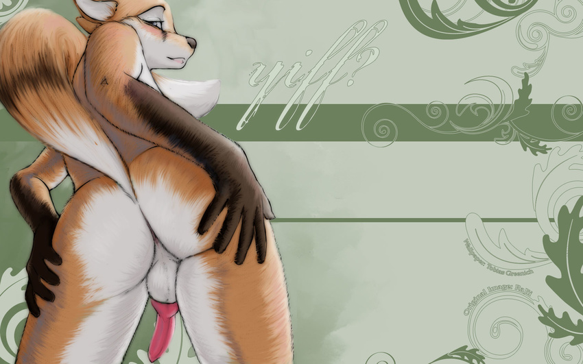 anus balls blue_eyes blush butt canine cute fox looking_at_viewer male nude penis presenting raised_tail rajii sheath solo spreading standing tail wallpaper