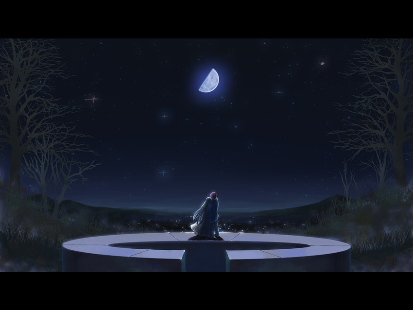 akiba_rika ezaki_yuuichi hanbun_no_tsuki_ga_noboru_sora long_hair moon night stars tree yuki.n
