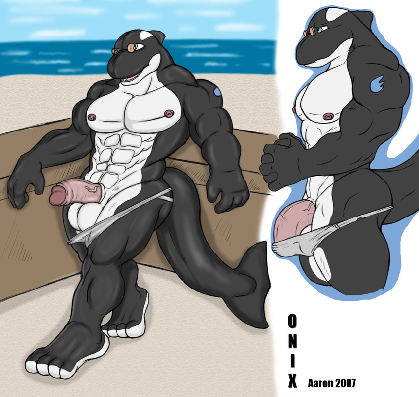 aaron balls big_balls blue_eyes cetacean erection fins grin male marine muscles nude onix_(aaron) orca penis presenting seaside sheath skimpy solo standing sunglasses swimsuit tail tattoo