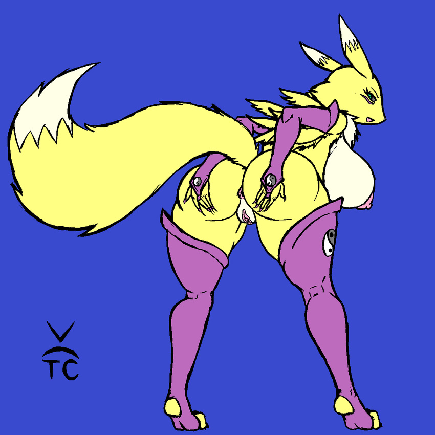 anthro anus big_breasts big_butt blue_eyes breasts butt canine digimon female fox looking_at_viewer looking_back mammal nipples nude presenting presenting_hindquarters pussy renamon solo thecon