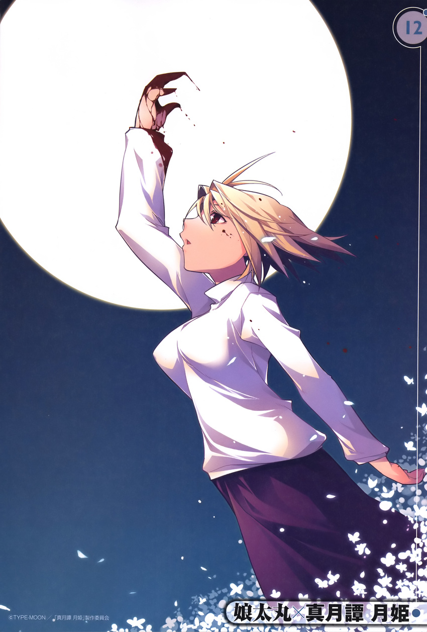 arcueid_brunestud kotamaru tagme tsukihime