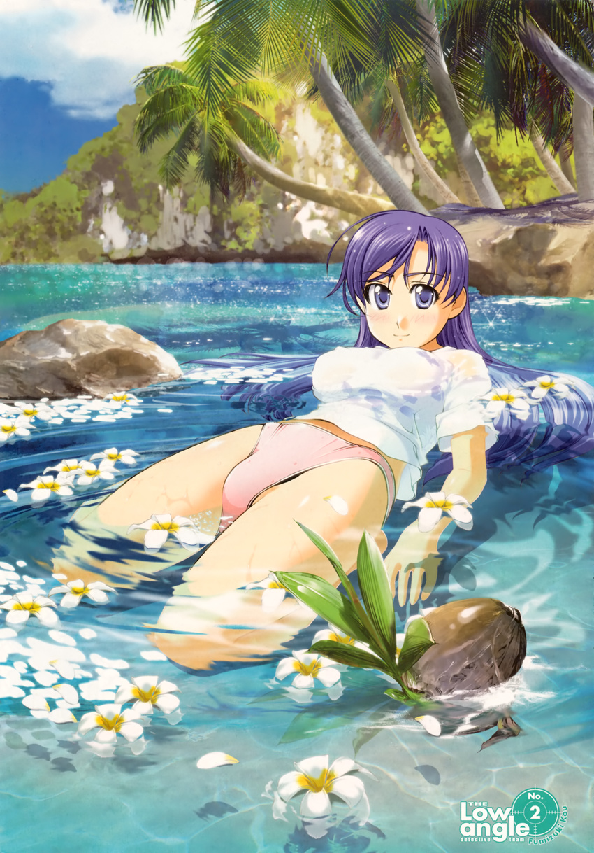 absurdres artbook beach bikini_bottom blush breasts character_request coconut flower fumizuki_kou highres kneeling large_breasts long_hair narumi_shizuku outdoors purple_eyes purple_hair shirt smile solo t-shirt umi_no_misaki water wet wet_clothes wet_shirt wet_t-shirt