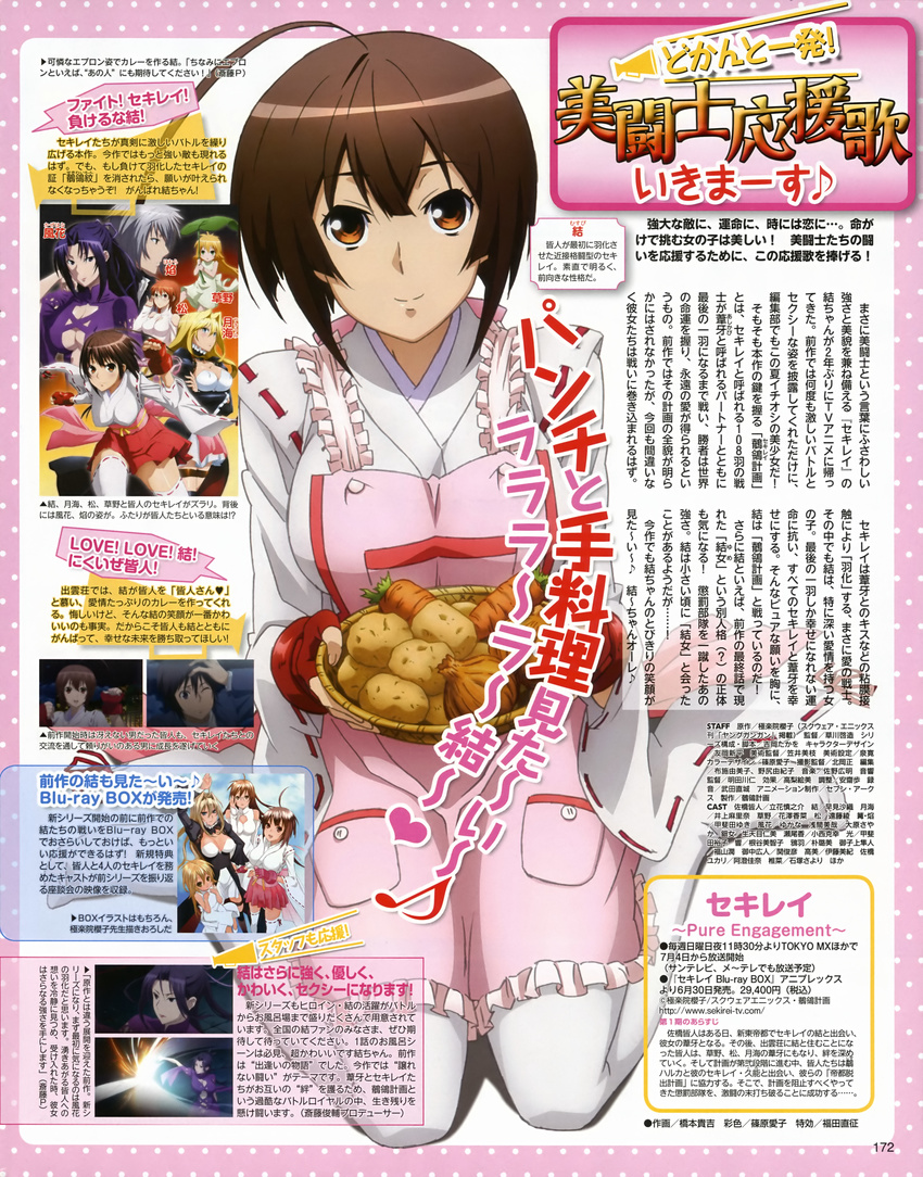 hashimoto_takayoshi musubi sekirei tagme