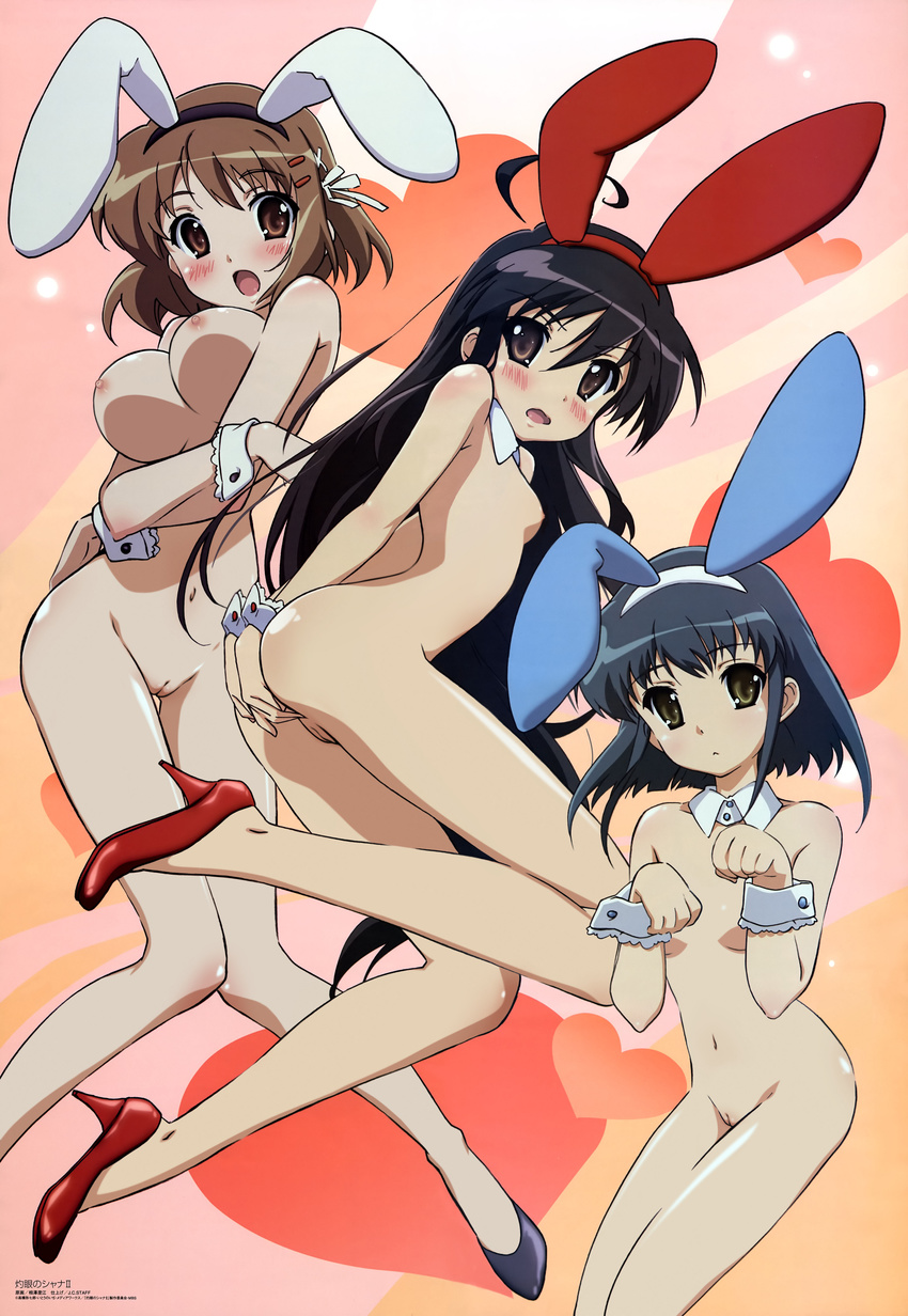 animal_ears bunny_girl kemonomimi konoe_fumina nipples nude photoshop shakugan_no_shana shana usamimi vagina yoshida_kazumi