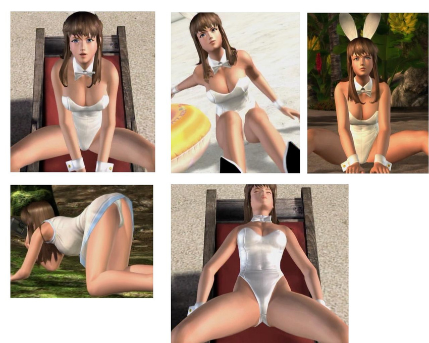 blue_eyes brown_hair bunny_girl dead_or_alive erect_nipples hitomi oppai tagme