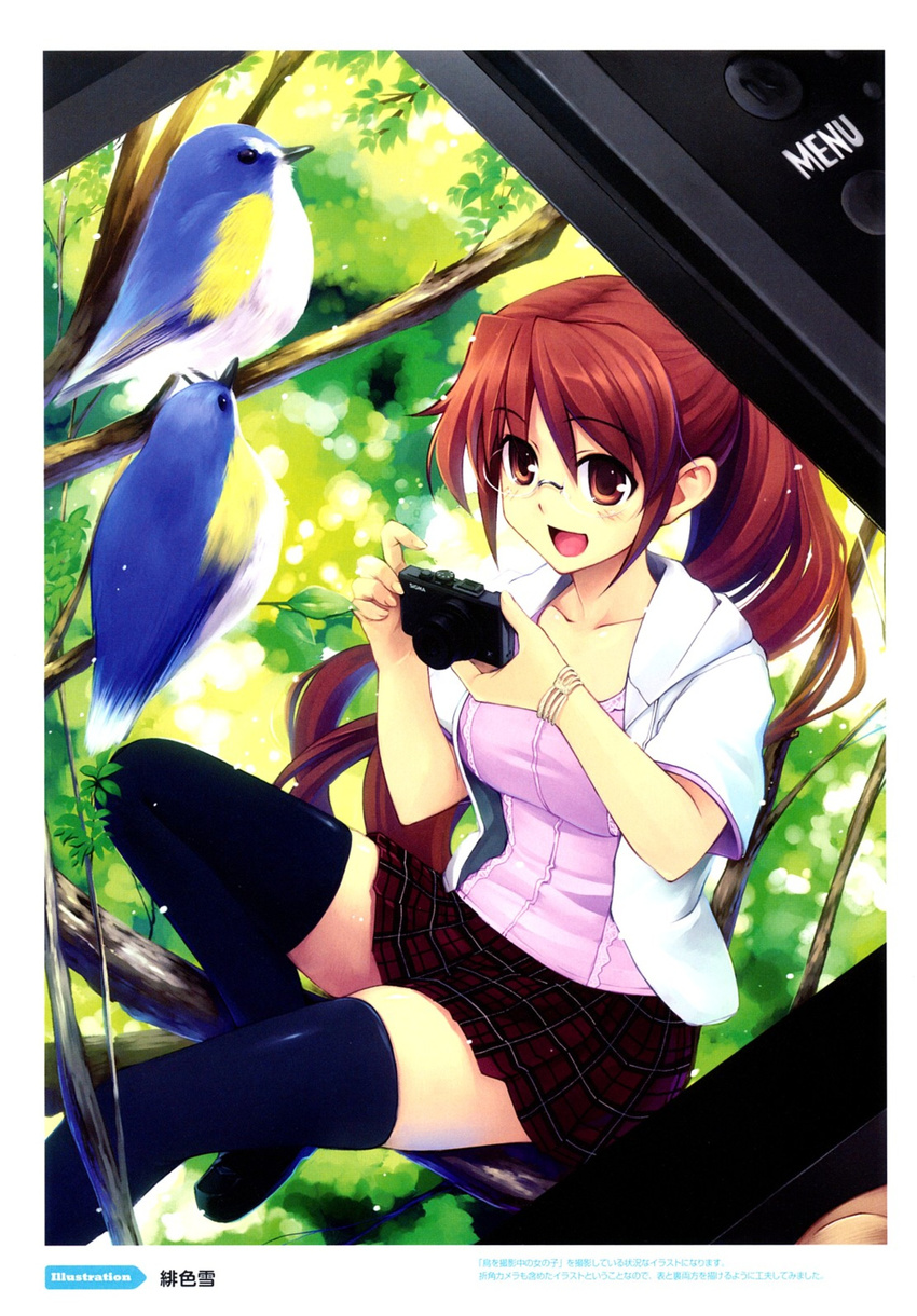 bird black_thighhighs brown_eyes brown_hair camera hoodie jacket long_hair megane open_mouth ponytail shirt sitting_in_tree skirt smile t-shirt thighhighs tree