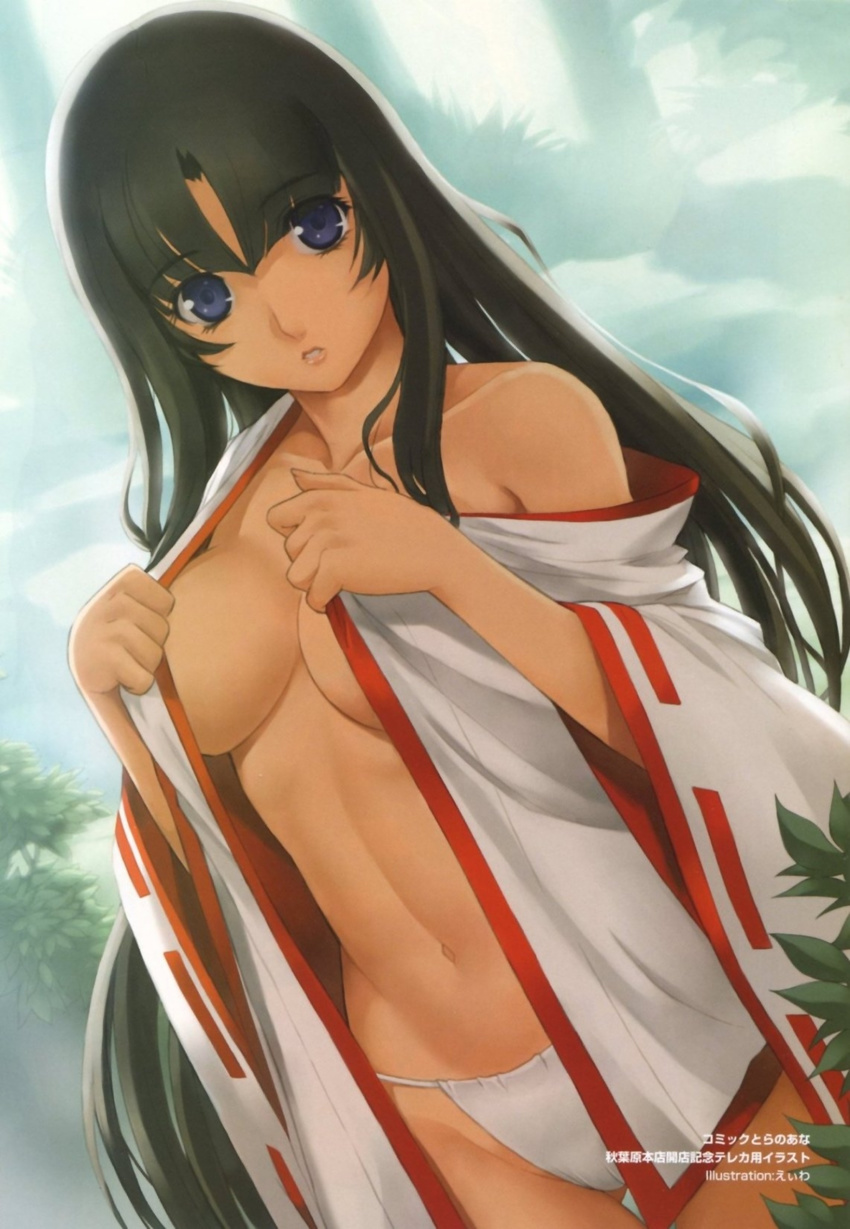 cleavage eiwa fundoshi open_shirt pantsu queen's_blade tomoe undressing