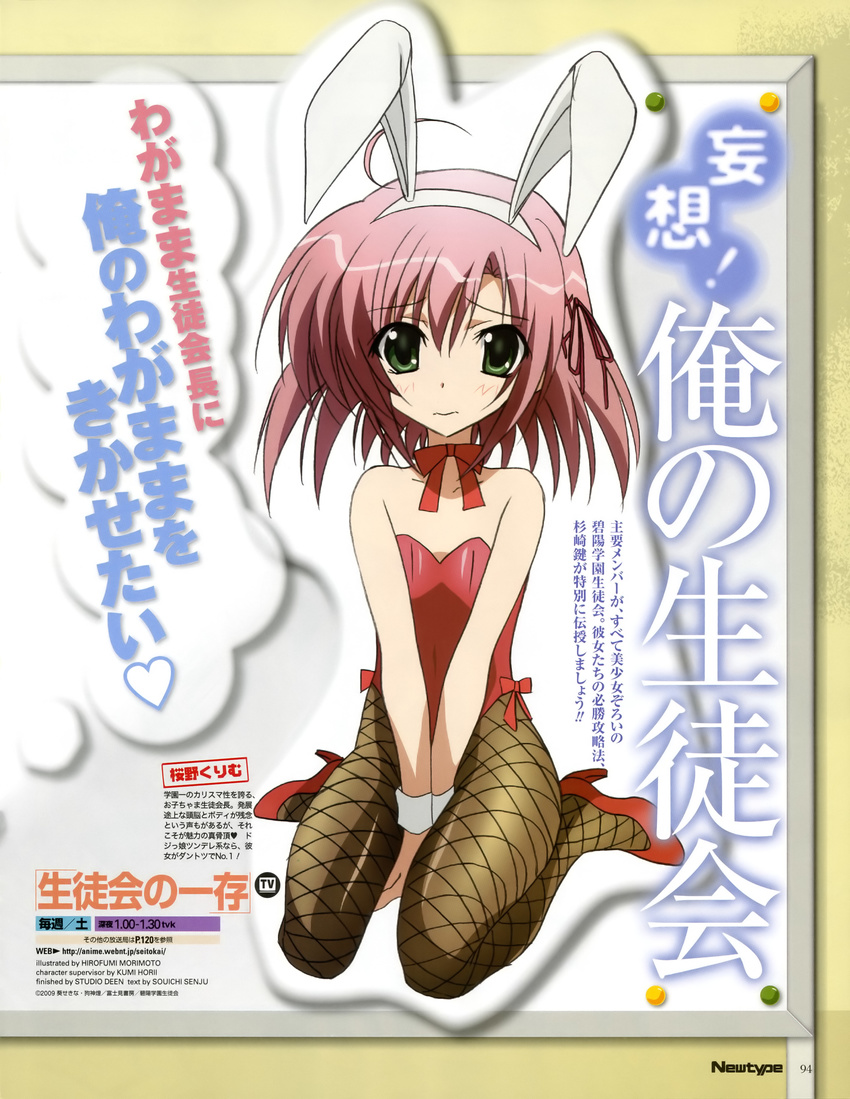 bunny_girl morimoto_hirofumi pantyhose sakurano_kurimu seitokai_no_ichizon