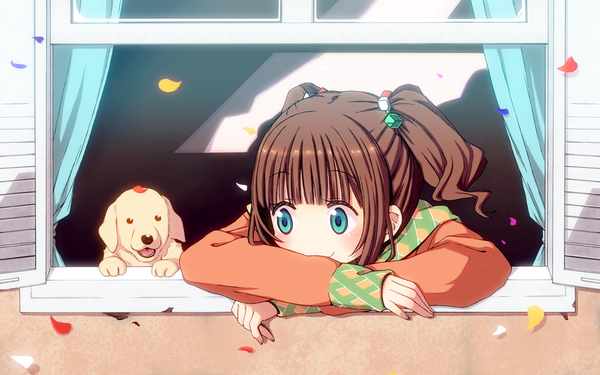 arm_rest bad_id bad_pixiv_id blue_eyes blush brown_hair chika_(orange_pop) crossed_arms curtains dog from_outside highres idolmaster idolmaster_(classic) leaf looking_out_window petals smile solo takatsuki_yayoi window windowsill