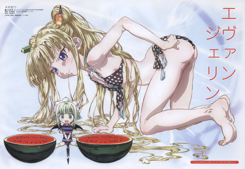 bikini evangeline_a_k_mcdowell evangeline_athanasia_katherine_mcdowell mahou_sensei_negima! mizugi pinup