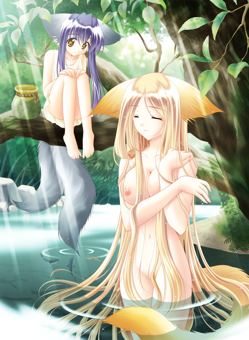 breast_hold kitsune koma louis&amp;amp;visee nipples nude solo tail_tale