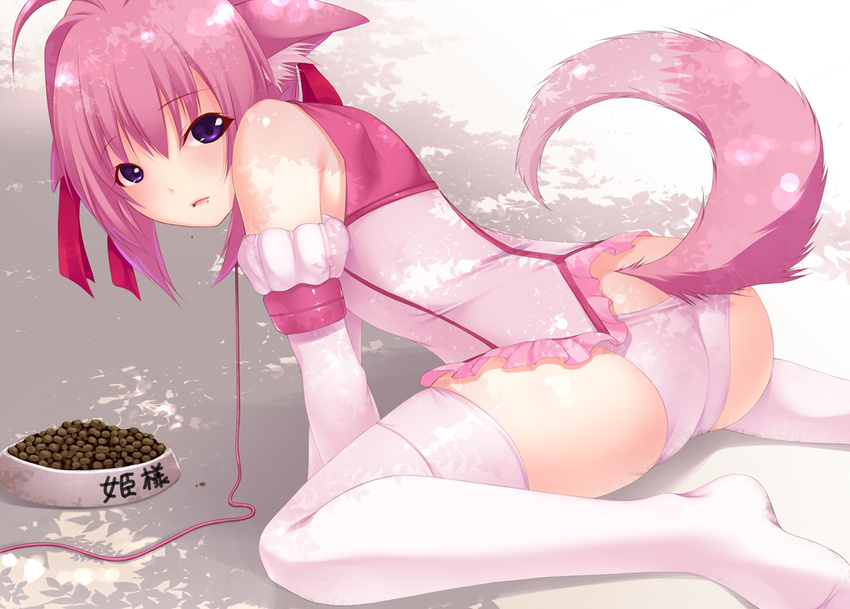 animal_ears ass bad_id bad_pixiv_id blush bowl dog_days dog_food dog_tail food food_on_face leash looking_back millhiore_f_biscotti open_mouth panties pet_bowl pet_play pink_hair pink_panties purple_eyes shokuyou_mogura sitting solo tail thighhighs underwear white_legwear