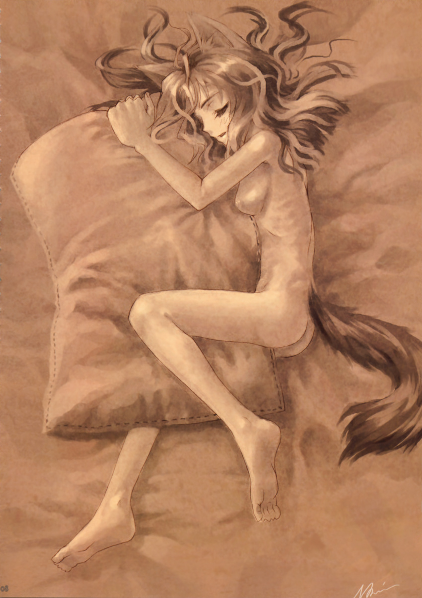 closet_child fixed kemonomimi konoe_ototsugu monochrome nude sepia sleeping tail