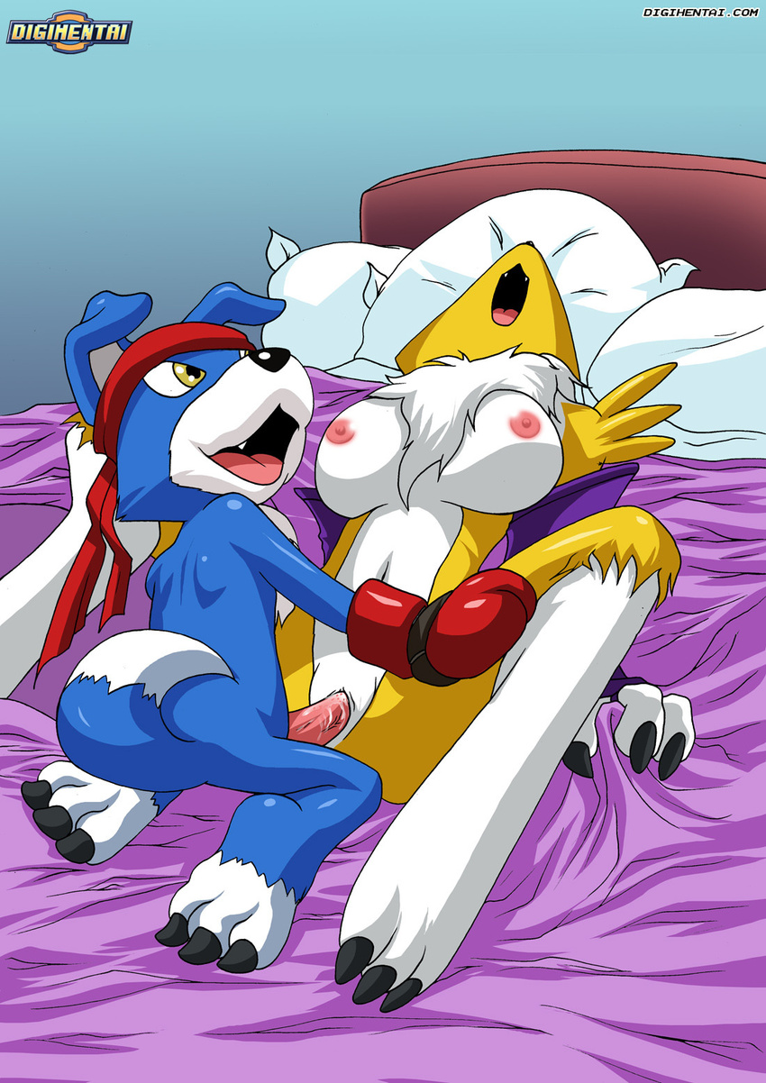 bed boxing_gloves breasts canine digihentai digimon fangs fox gaomon on_back penetration penis pussy renamon spread_legs spreading