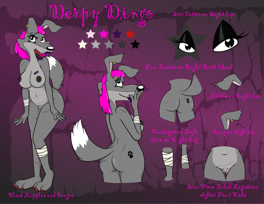 canine derpy_dingo dingo dog female mammal model_sheet nipples rodent_kill_productions