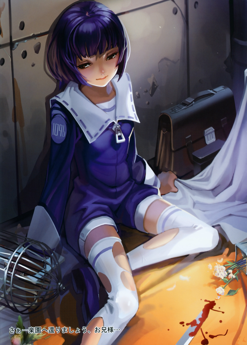 absurdres alphonse_(white_datura) arm_support bag bangs birdcage blood blue_hair blunt_bangs blush bob_cut breasts brown_eyes cage elysion face flower highres huge_filesize knife legs lips long_legs short_hair shorts sitting small_breasts smile solo soror sound_horizon thighhighs torn_clothes torn_legwear translated white_legwear