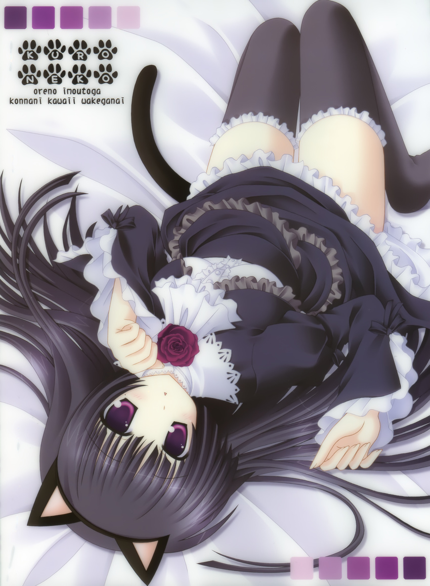 gokou_ruri gothic_lolita kemonomimi lolita_fashion nekokinryouku nekomimi nekoneko ore_no_imouto_ga_konna_ni_kawaii_wake_ga_nai tail thighhighs