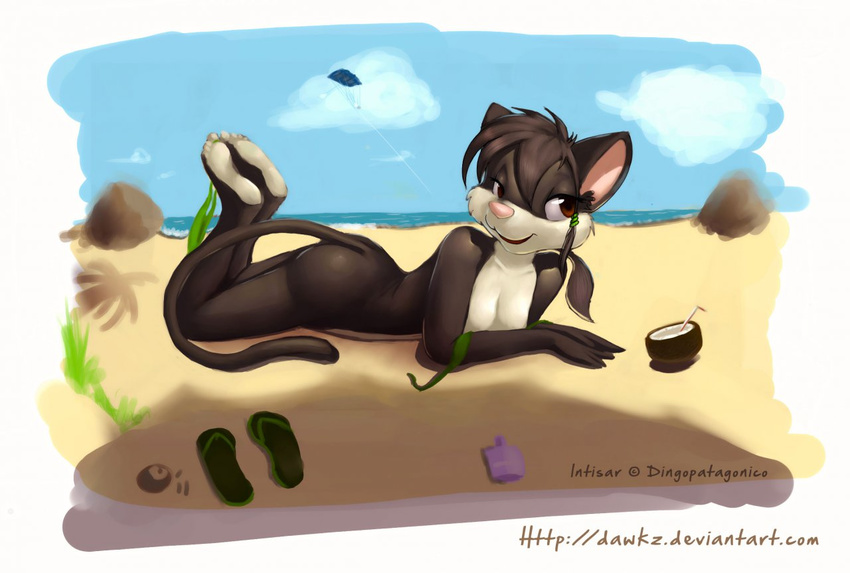 beach brown_eyes cat dawks feline female nude sand seaside solo water