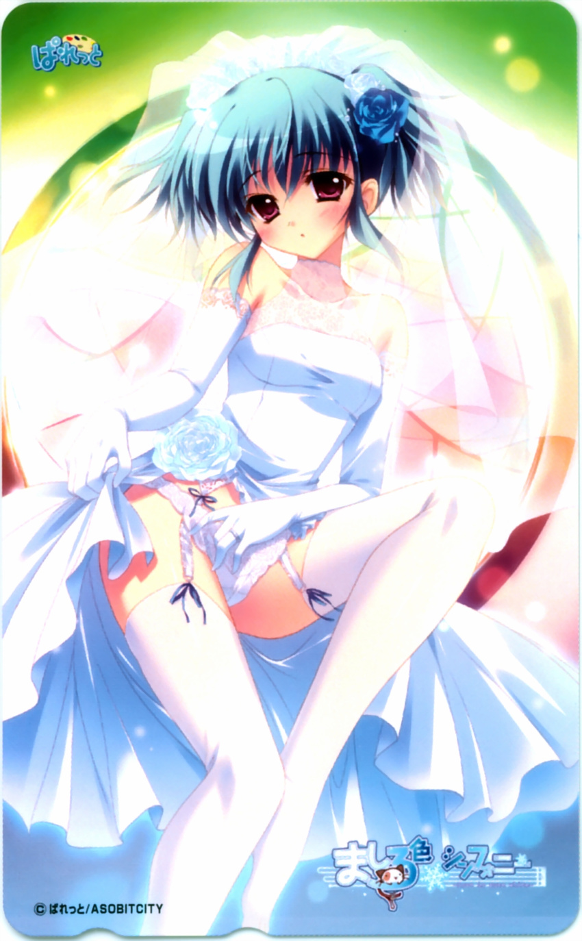 card garter_belt izumi_tsubasu mashiroiro_symphony overfiltered palette pantsu stockings thighhighs uryu_sakuno wedding_dress