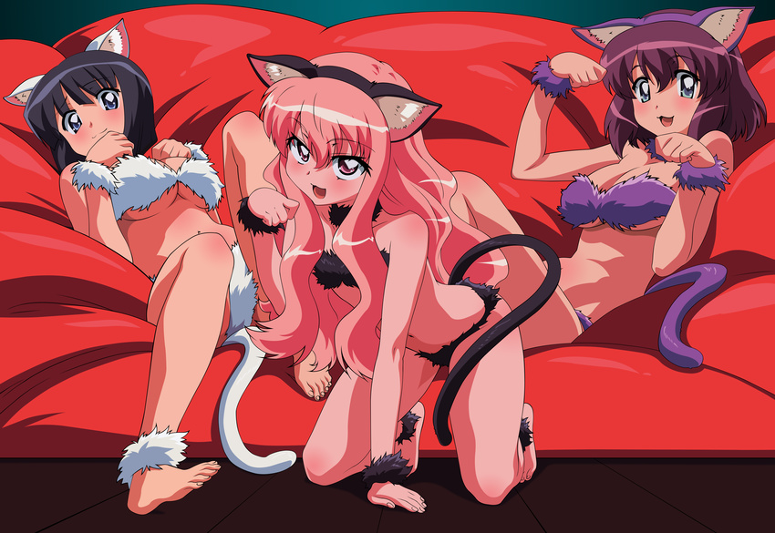 cleavage henrietta_de_tristain louise_fran&ccedil;oise_le_blanc_de_la_valli&egrave;re nekomimi shitapai siesta vector zero_no_tsukaima