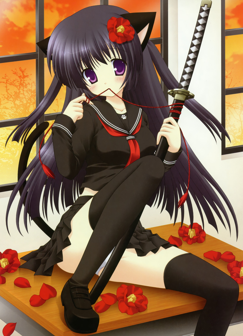 kemonomimi long_hair nekoneko pantsu school_uniform solo sword tagme tail thighhighs