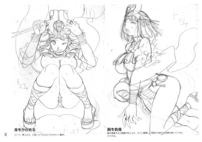 2006_winter_artbook artbook queen's_blade tagme