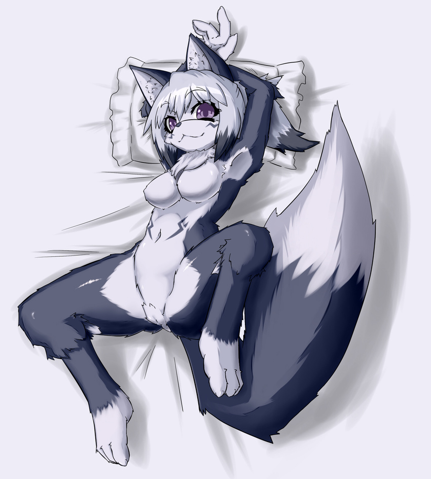 breasts canine female fox grey_hair hair looking_at_viewer lying mammal nude on_back pillow pussy sakamata sakamata_orca solo spread_legs spreading
