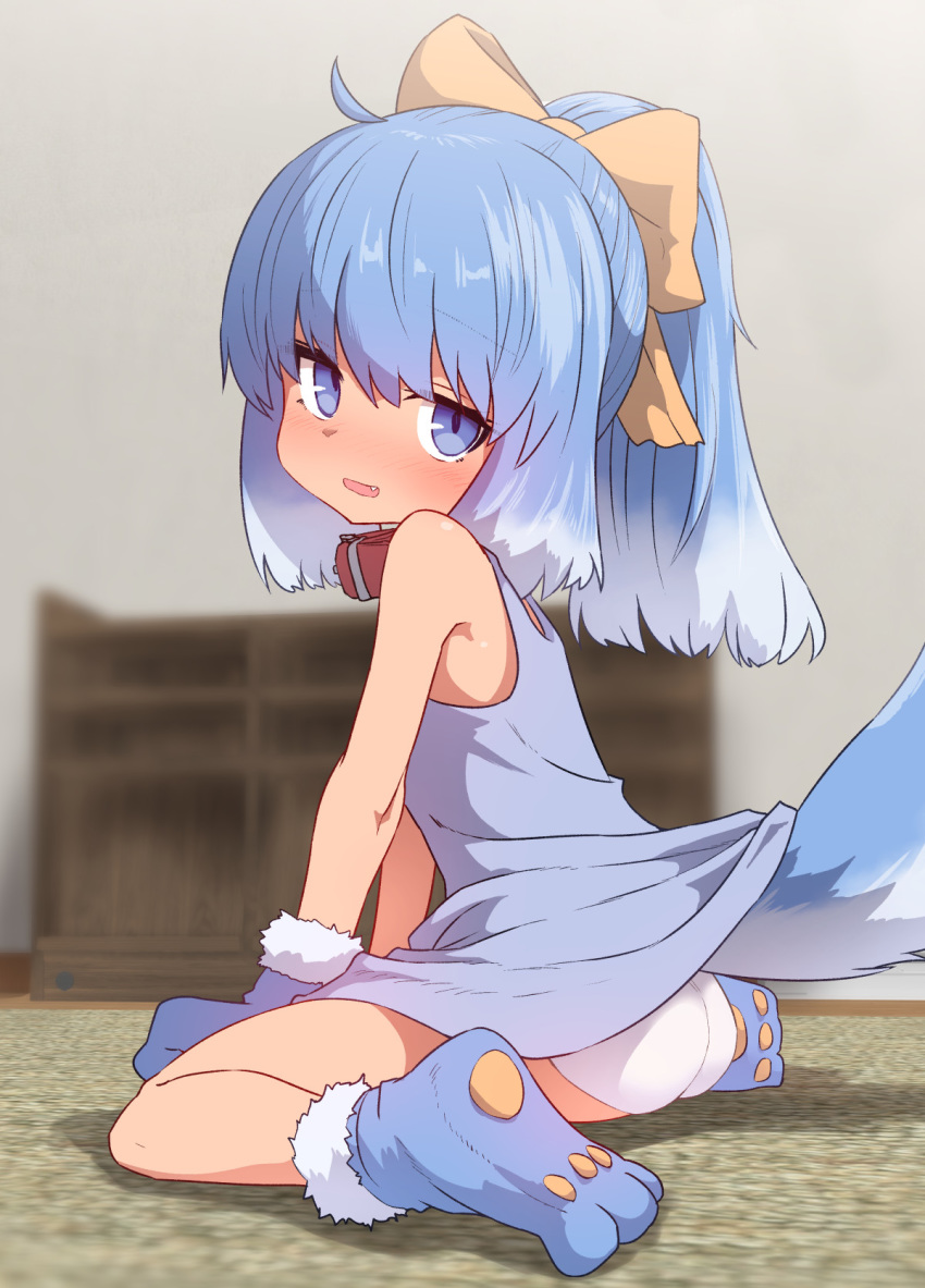 ahoge ass blue_dress blue_eyes blue_hair blurry blurry_background blush bow closed_mouth collar depth_of_field dog_collar dog_tail dress embarrassed eyebrows_visible_through_hair fang from_side gloves gradient_hair hair_bow highres inu-t long_hair looking_back multicolored_hair open_mouth os-tan panties paw_gloves paw_shoes paws ponytail shoes solo sumiyao_(amam) tail tail_raised underwear white_hair yellow_bow