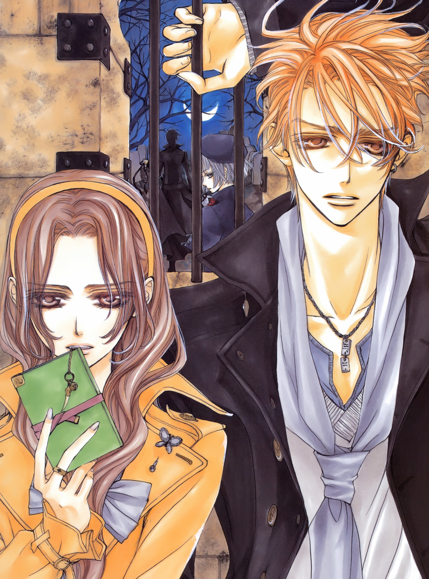 hino_matsuri tagme vampire_knight