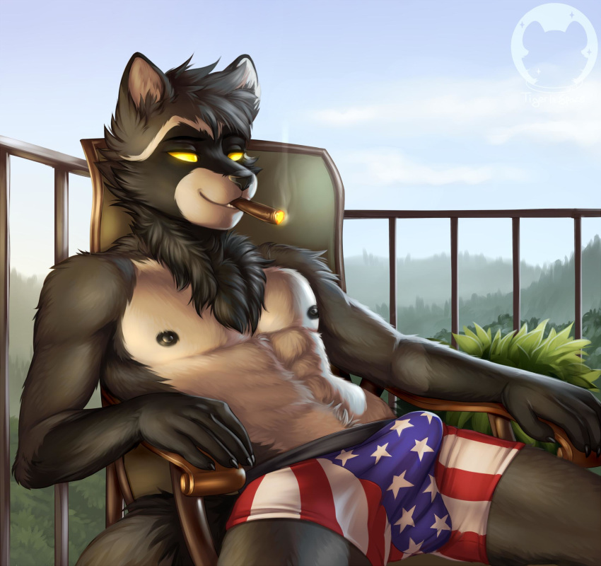 anthro cigar claws clothing doc_mcrascal eyebrows flag_underwear fur glowing glowing_eyes male mammal nipples outside patriotic_clothing procyonid raccoon sitting smoke smoking solo stars_and_stripes tenting tigerinspace underwear united_states_of_america