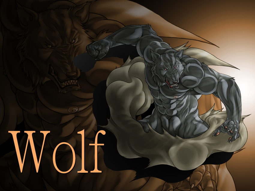 anthro bomb_(artist) canine male mammal muscles solo wallpaper wolf