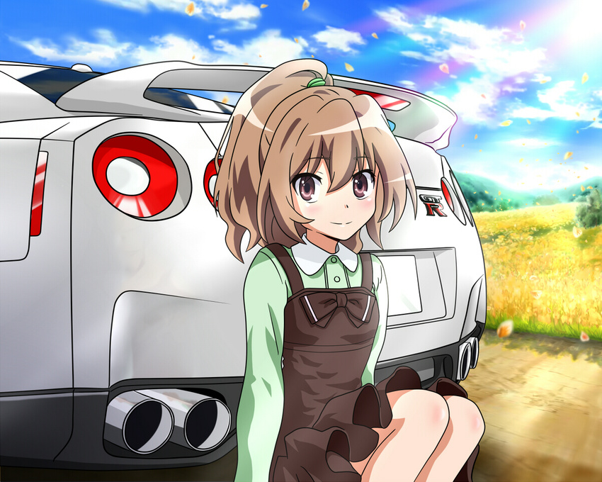 aisaka_taiga blush brown_eyes brown_hair car cloud day dirt_road dress exhaust_pipe field ground_vehicle motor_vehicle nissan_gt-r petals sitting sky smile solo spoiler_(automobile) tail_lights toradora! vehicle_rear wingheart