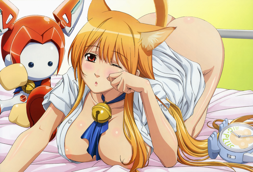 asobi_ni_iku_yo! cat cat_tail eris_(asobi_ni_iku_yo!) kemonomimi nekomimi oppai tail