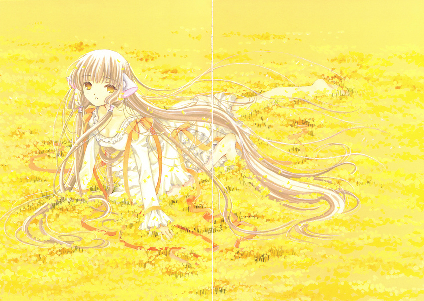 chii chobits clamp crease tagme