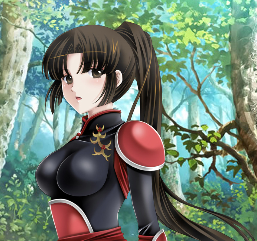 bangs blunt_bangs breasts brown_hair forest inuyasha large_breasts long_hair nature plant ponytail sango solo tamamon tree upper_body