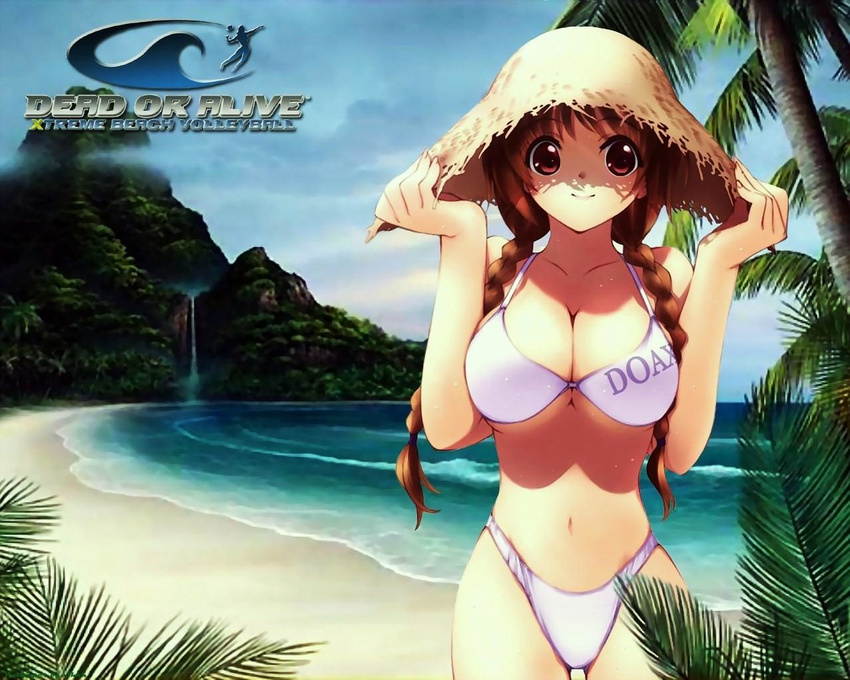 beach bikini braids breasts brown_eyes brown_hair dead_or_alive kasumi kasumi_(dead_or_alive) large_breasts mizugi oppai tagme