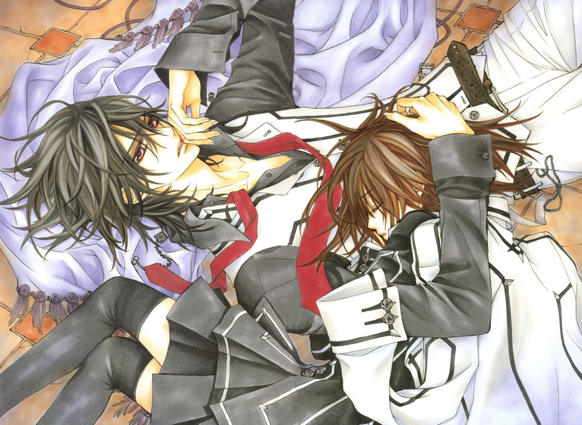 hino_matsuri tagme vampire_knight